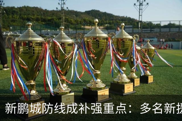 新鹏城防线成补强重点：多名新援亮相 姜至鹏完成体检