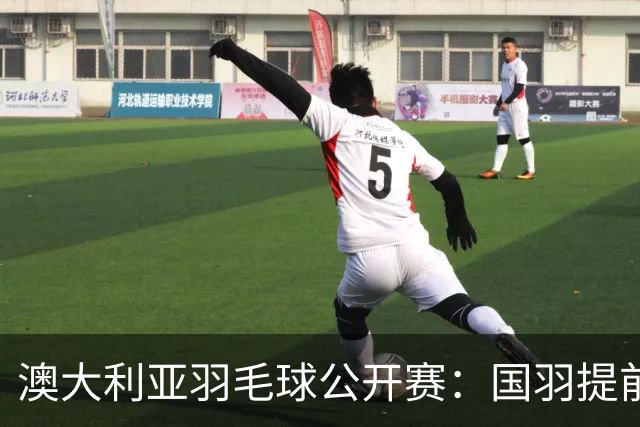 澳大利亚羽毛球公开赛：国羽提前锁定混双冠亚军